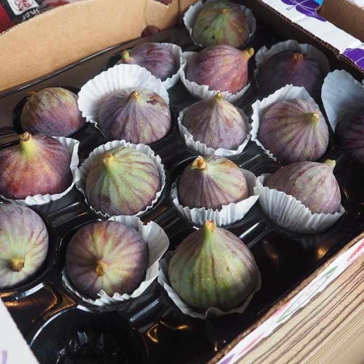 Catering_1 (7)